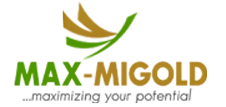 maxmigold new logo1 upscayl 4x realesrgan x4plus